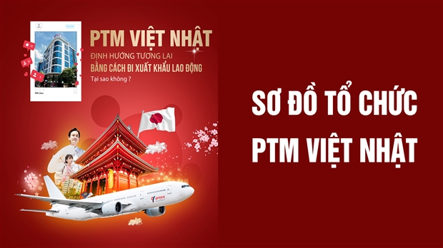 Sơ đồ tổ chức Công ty PTM Việt Nhật