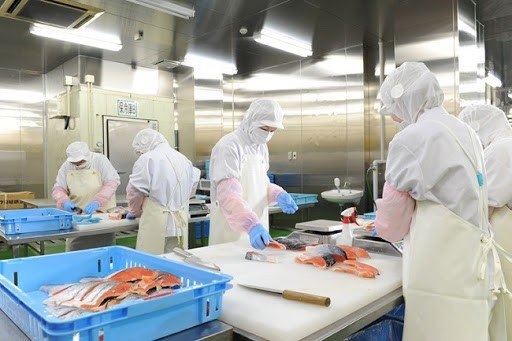 Tuyển gấp 8 TTS chế biến thủy sản không gia nhiệt làm việc tại tỉnh Osaka - Nhật Bản!