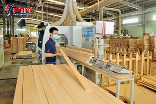 [TUYỂN GẤP]  04 THỰC TẬP SINH NAM - ĐƠN SẢN XUẤT VÁN GỖ 1 NĂM